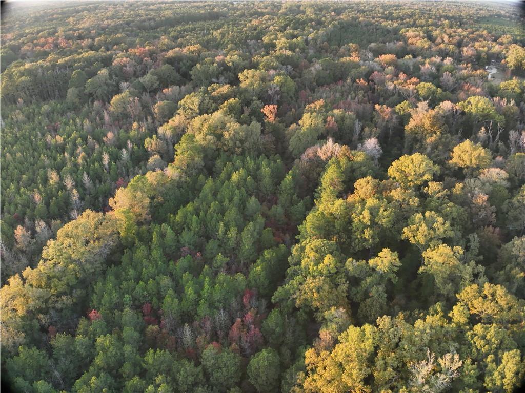 A Philadelphia Road Deville, LA 71328 - Photo 4 of 15