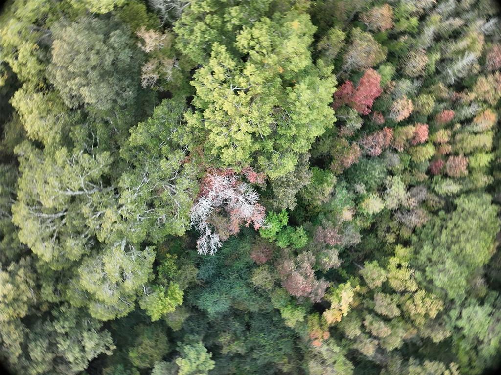 A Philadelphia Road Deville, LA 71328 - Photo 4 of 11