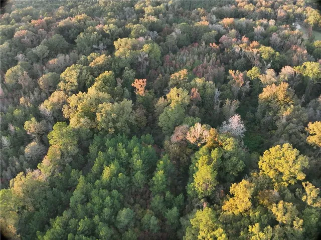 $77,500 | A Philadelphia Road, Deville, LA 71328