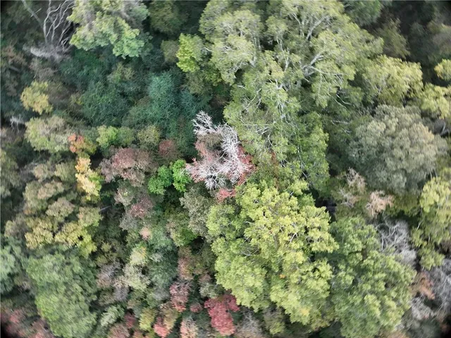 $77,500 | A Philadelphia Road, Deville, LA 71328