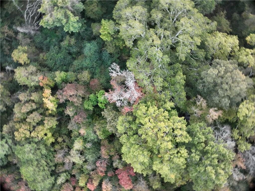 A Philadelphia Road Deville, LA 71328 - Photo 6 of 11