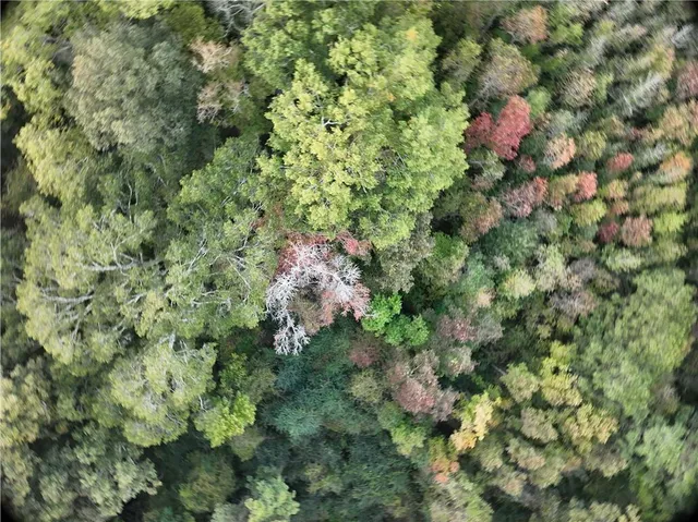 $77,500 | A Philadelphia Road, Deville, LA 71328