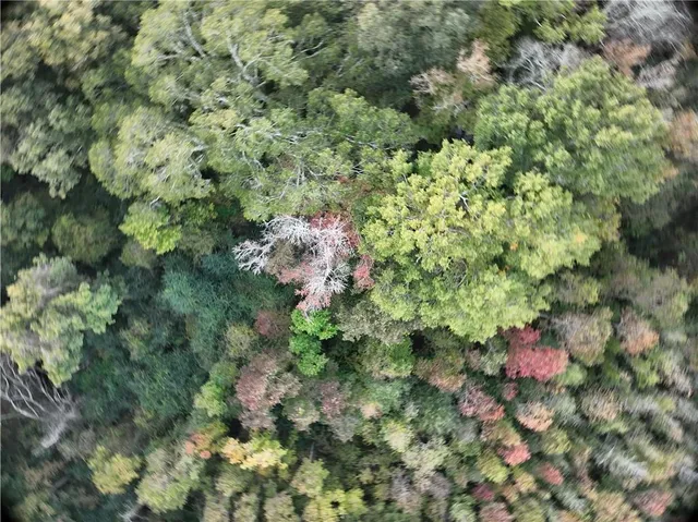 $77,500 | A Philadelphia Road, Deville, LA 71328