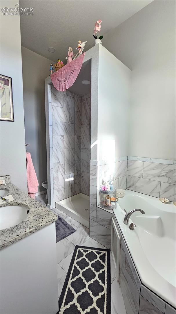 3835 Sengbeil Road Yoder, CO 80864 - Photo 24 of 48 Bathroom featuring a walk-in shower with light-toned tile surround, a corner soaking tub, a vanity with a granite-look countertop and under-mount sink, and large format floor tiles