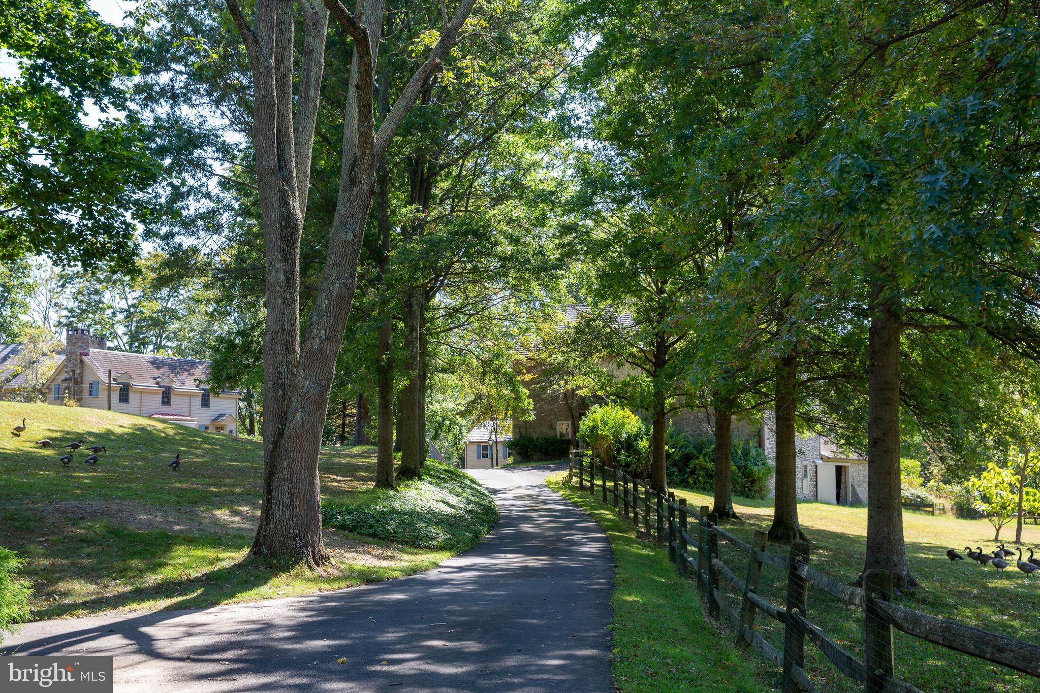 2666 Mill Road Doylestown, PA 18902 - Photo 51 of 78 Driveway