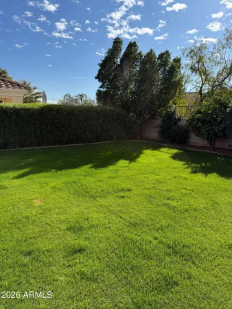 a view of yard with swimming pool and green space