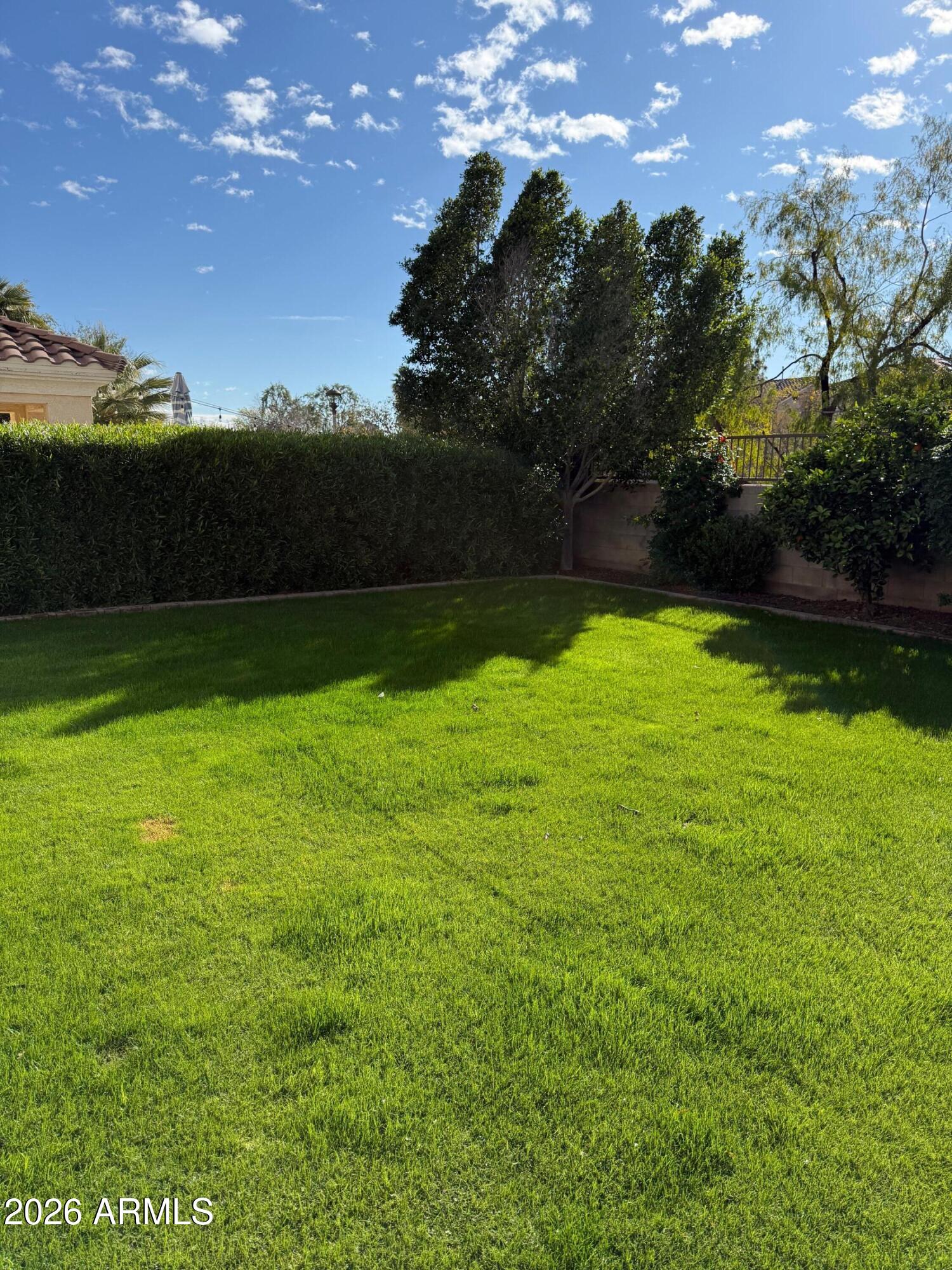 3555 East Michelle Way Gilbert, AZ 85234 - Photo 7 of 18 a view of yard with swimming pool and green space