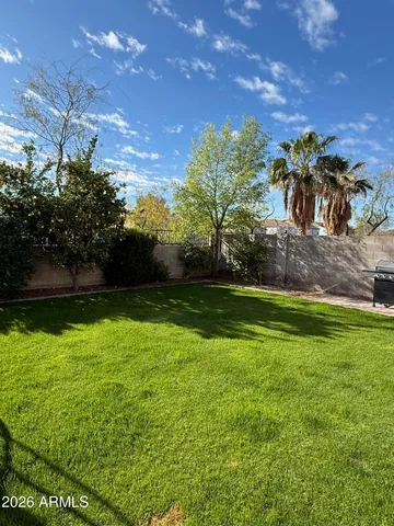 a view of a yard with plants and a large tree
