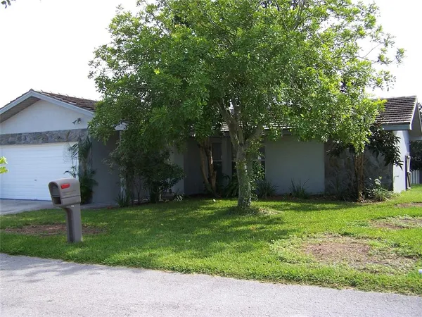 a backyard of a house with plants and large tree
