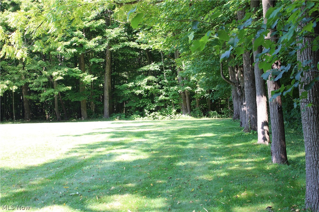 8818 Carnes Road Chagrin Falls, OH 44023 - Photo 30 of 30 Black walnut trees line the north line which is approximately four feet further into the woods. The majority of the owner's west property tree line backs up to Holy Angel's wooded property line.