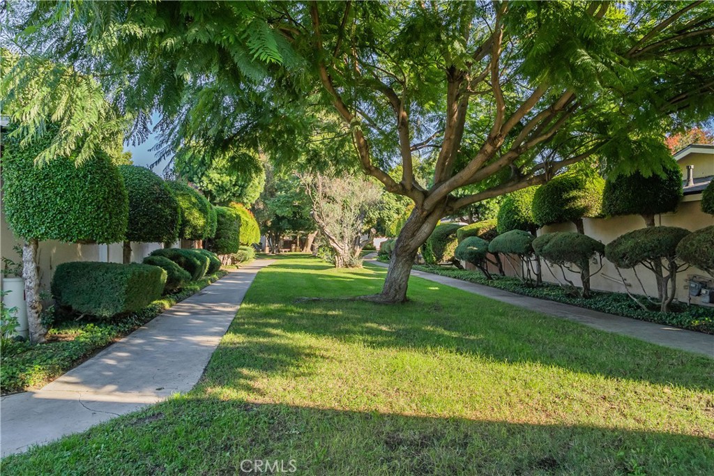 630 South Knott, Unit 14 Anaheim, CA 92804 - Photo 24 of 26 a huge green field with lots of trees