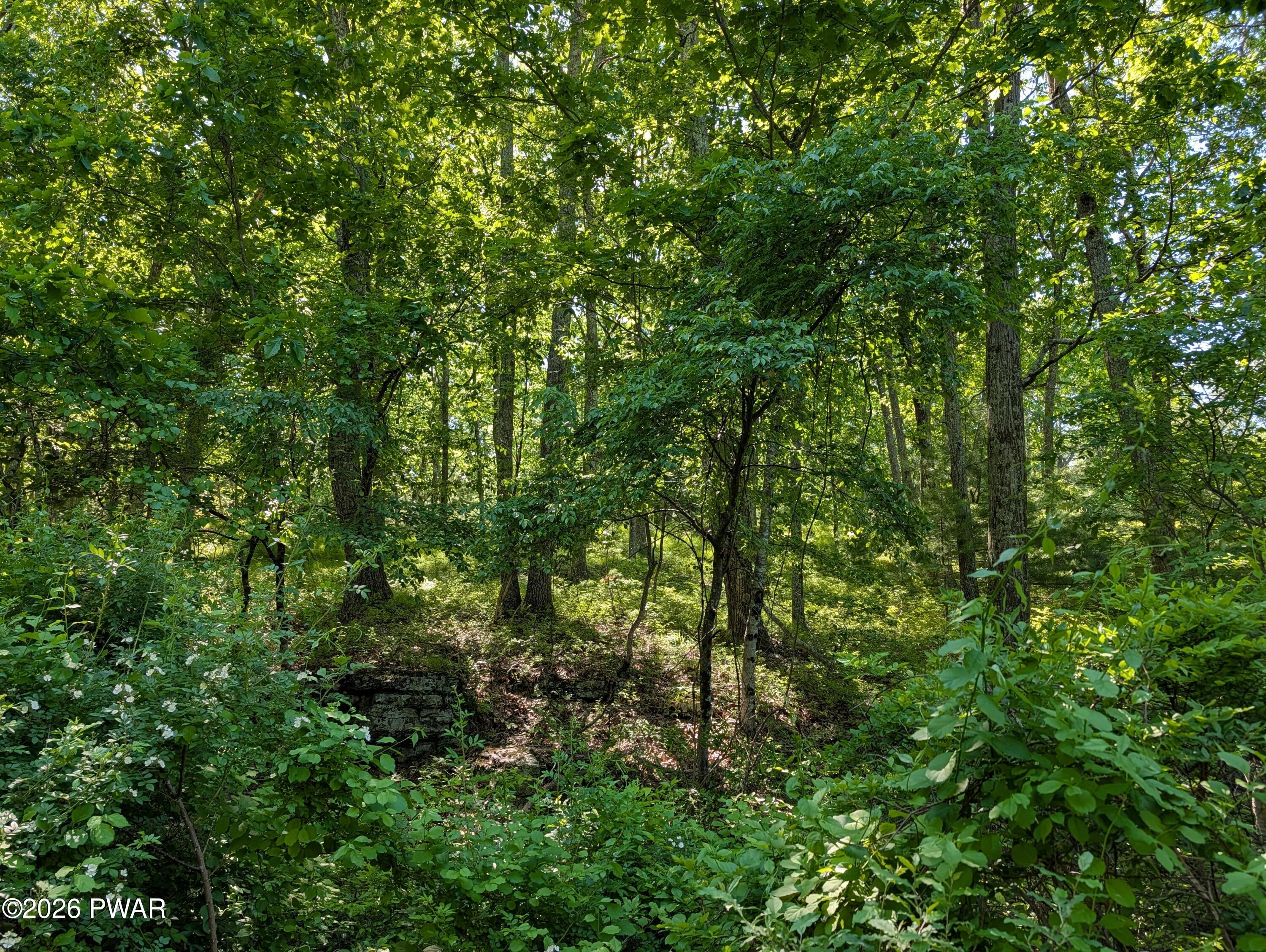 167 Rockledge Road Dingmans Ferry, PA 18328 - Photo 6 of 6