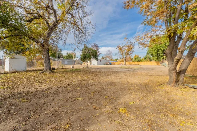 a view of a backyard that has a tree on the side