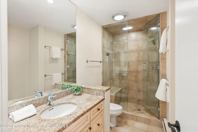 a bathroom with a sink toilet a shower and a mirror