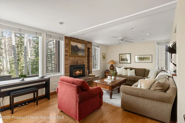 a living room with furniture a fireplace and a floor to ceiling window