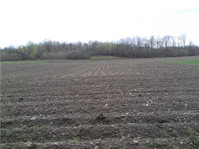 1935 Falkey Road Phelps, NY 14532 - Photo 1 of 1 Land