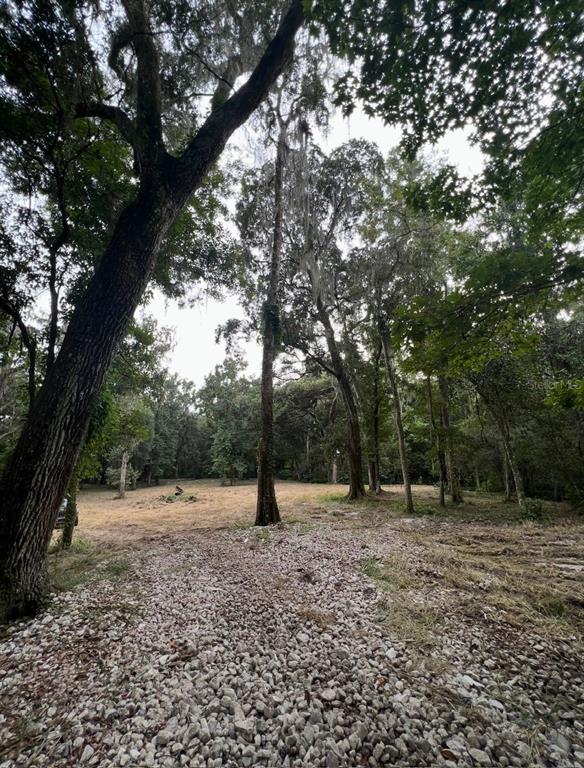 33234 Chipco Ranch Road Dade City, FL 33523 - Photo 12 of 18 a backyard of a house with lots of green space