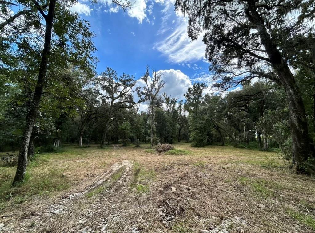 33234 Chipco Ranch Road Dade City, FL 33523 - Photo 13 of 18 a view of outdoor space