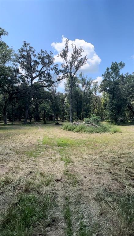 33234 Chipco Ranch Road Dade City, FL 33523 - Photo 14 of 18 a view of a field with trees in the background