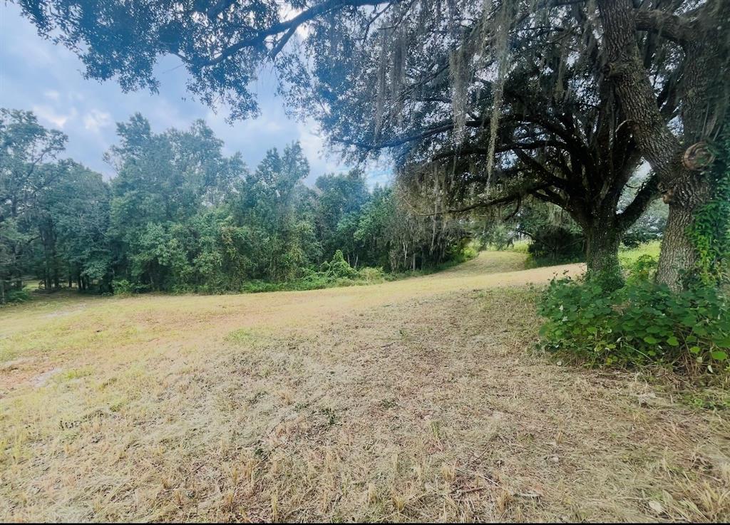 33234 Chipco Ranch Road Dade City, FL 33523 - Photo 16 of 18 a view of a yard with a tree