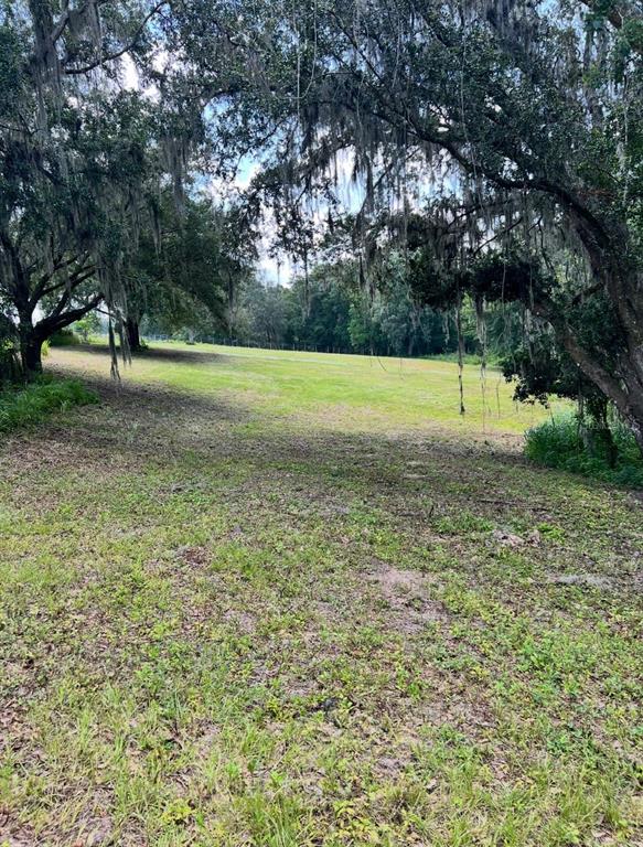 33234 Chipco Ranch Road Dade City, FL 33523 - Photo 17 of 18 a view of a green field