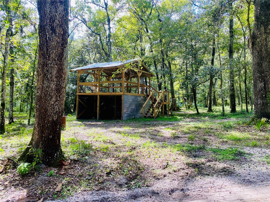 33234 Chipco Ranch Road Dade City, FL 33523 - Photo 7 of 18 a view of backyard with green space