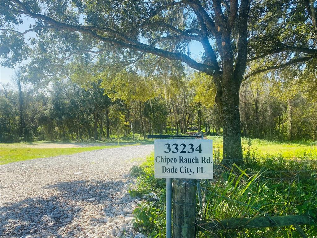 33234 Chipco Ranch Road Dade City, FL 33523 - Photo 8 of 18 a view of a park with large trees