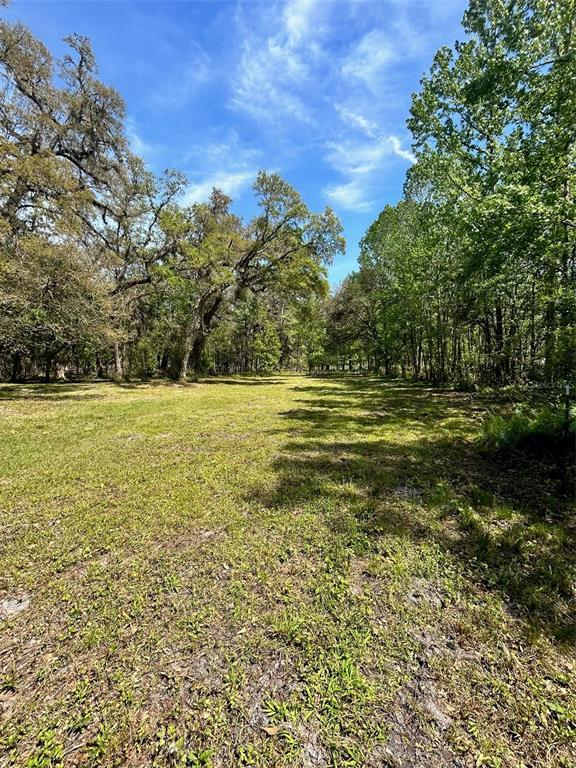 33234 Chipco Ranch Road Dade City, FL 33523 - Photo 9 of 18 a view of a ocean view