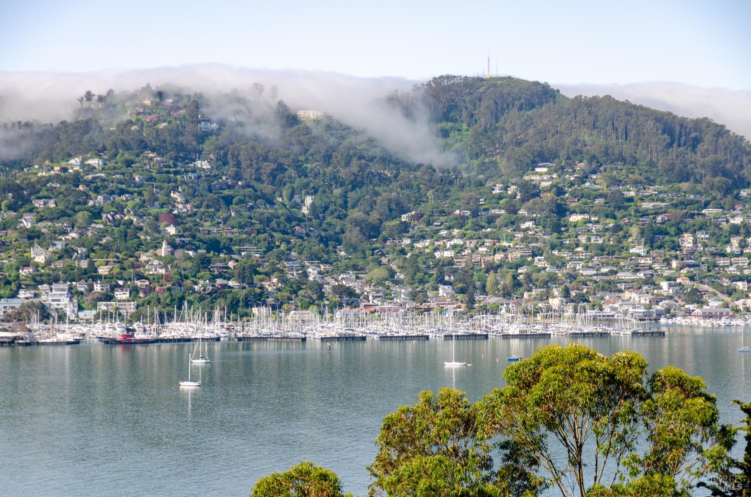 22 Eucalyptus Road Belvedere, CA 94920 - Photo 59 of 64 a view of a lake with mountains