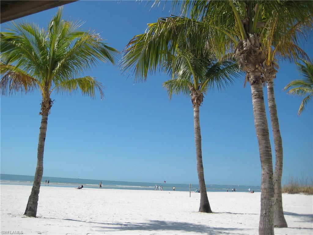 14819 Laguna Drive, Unit 501 Fort Myers, FL 33908 - Photo 47 of 48 a palm tree sitting in front of a house