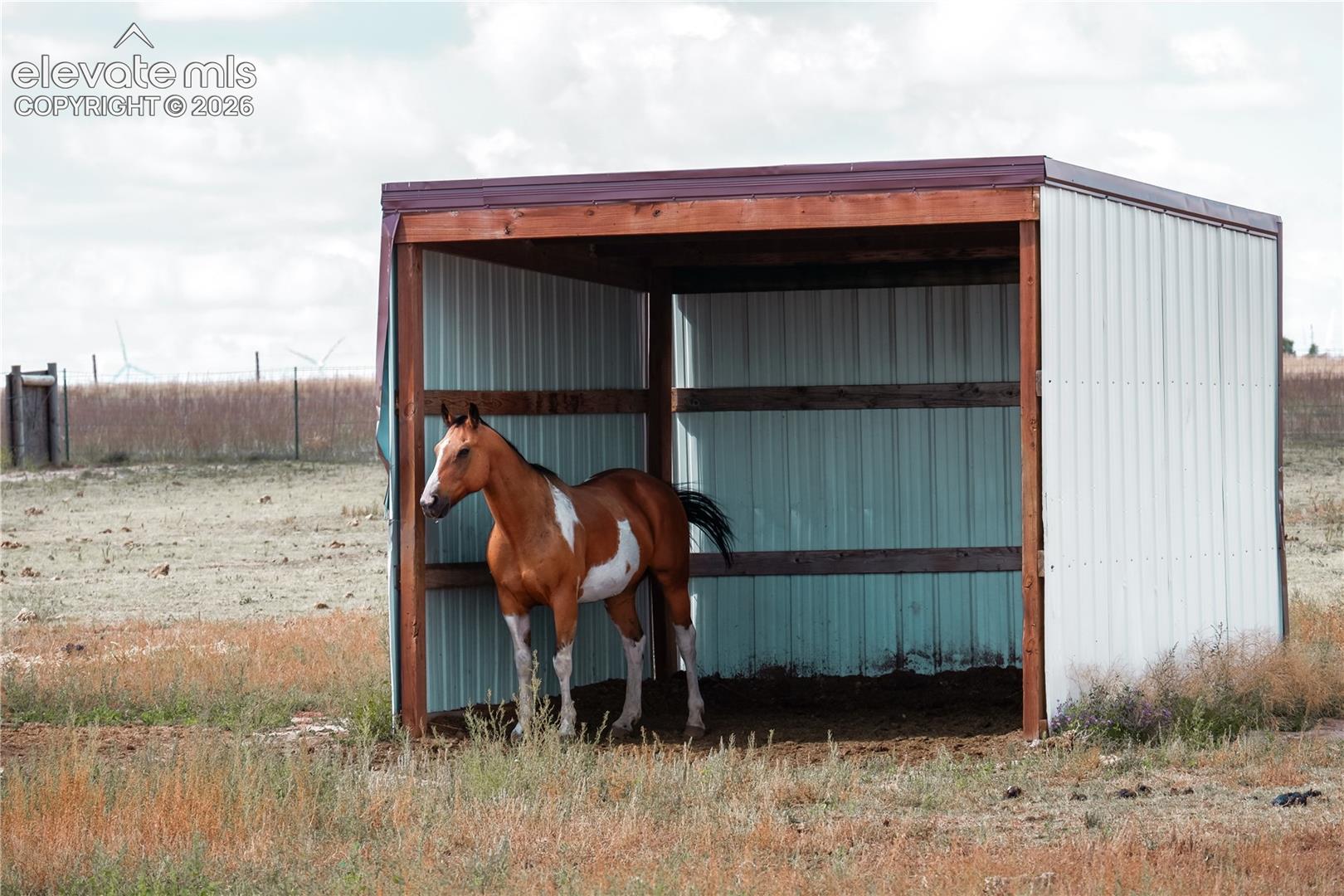 37485 Judge Orr Road Calhan, CO 80808 - Photo 44 of 50 loafing sheds