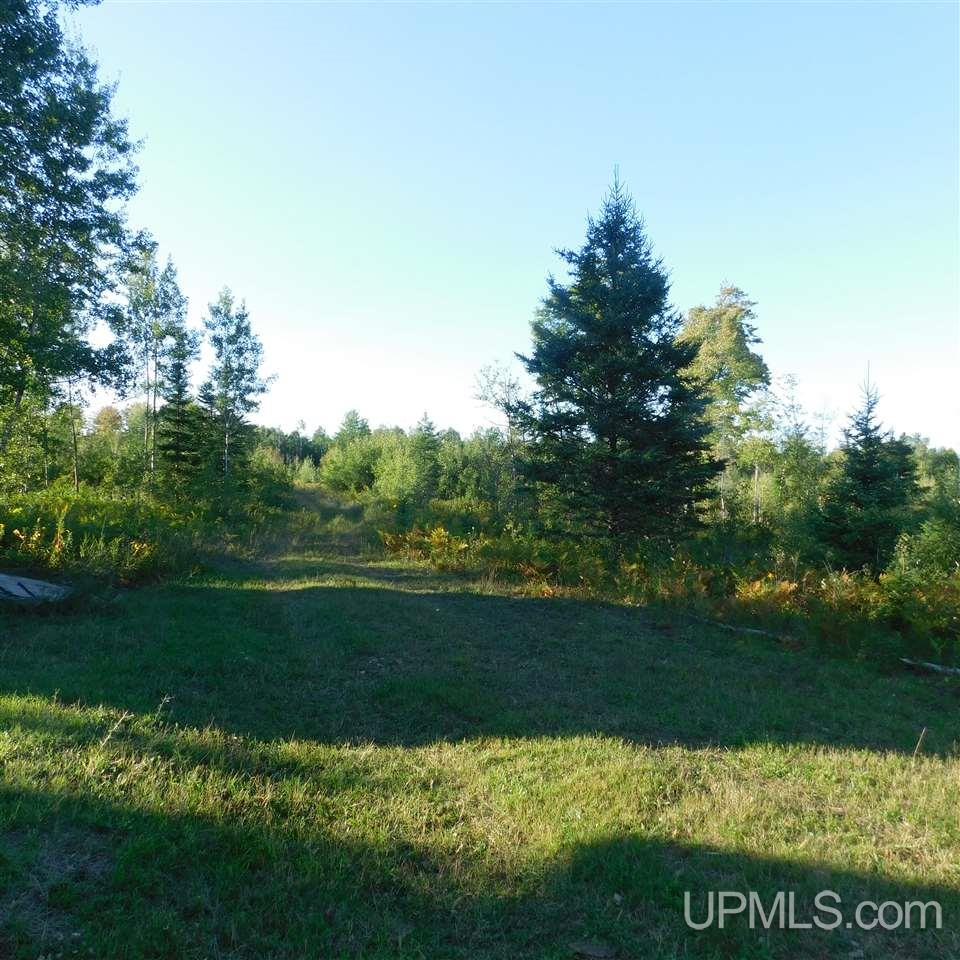 Tbd Off Murray Road Perronville, MI 49873 - Photo 17 of 27
