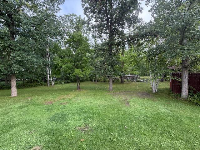 45021 County 3 Solway, MN 56678 - Photo 34 of 62