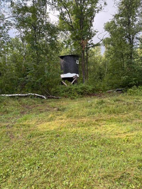 45021 County 3 Solway, MN 56678 - Photo 44 of 62