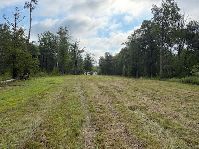 45021 County 3 Solway, MN 56678 - Photo 45 of 62