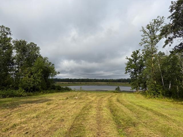 45021 County 3 Solway, MN 56678 - Photo 50 of 62