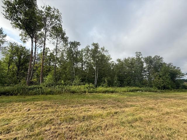 45021 County 3 Solway, MN 56678 - Photo 51 of 62