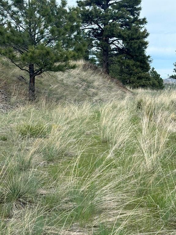 153 Cooper Drive Cascade, MT 59421 - Photo 14 of 21 Gallery Image 14