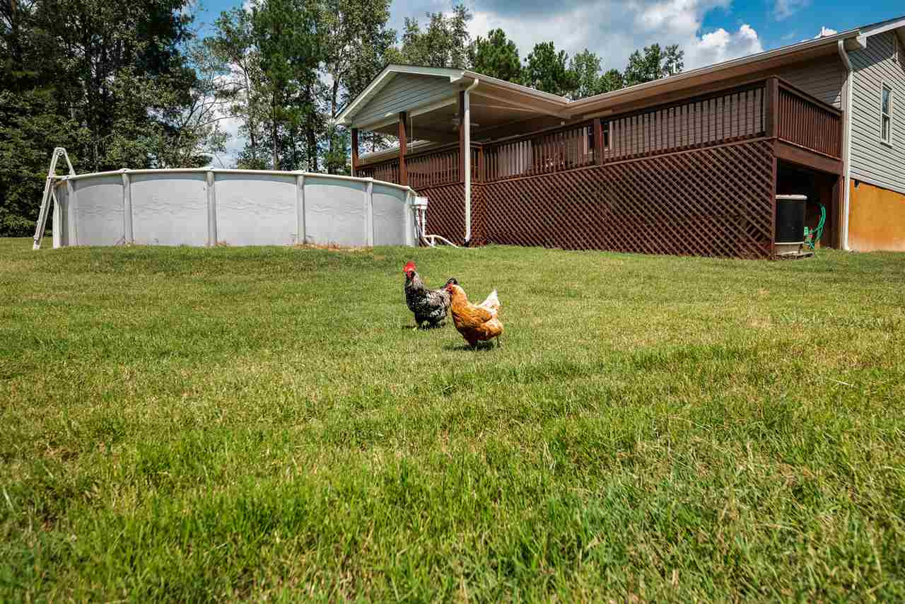 3051 Plainview Church Road Angier, NC 27501 - Photo 9 of 27 rear of home