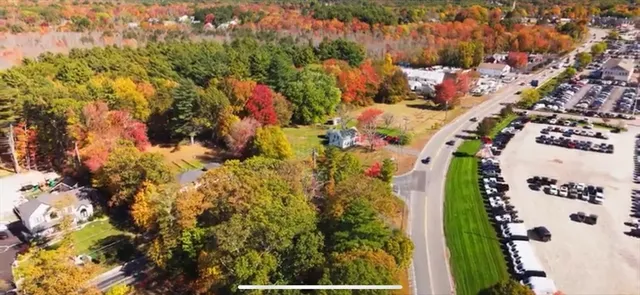 a picture of flowers