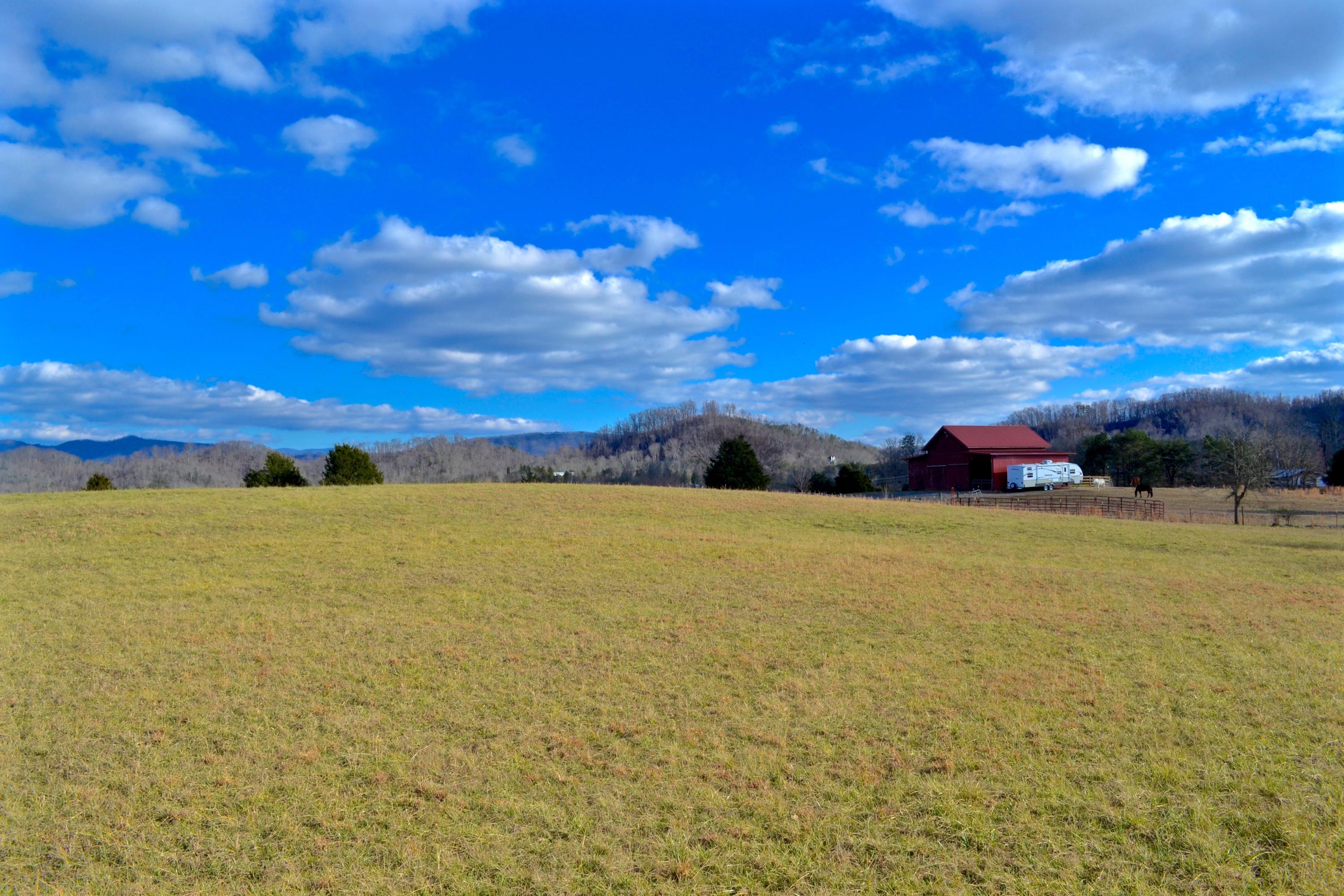 Big Gully Road Maryville, TN 37801 - Photo 4 of 7 _DSC1615