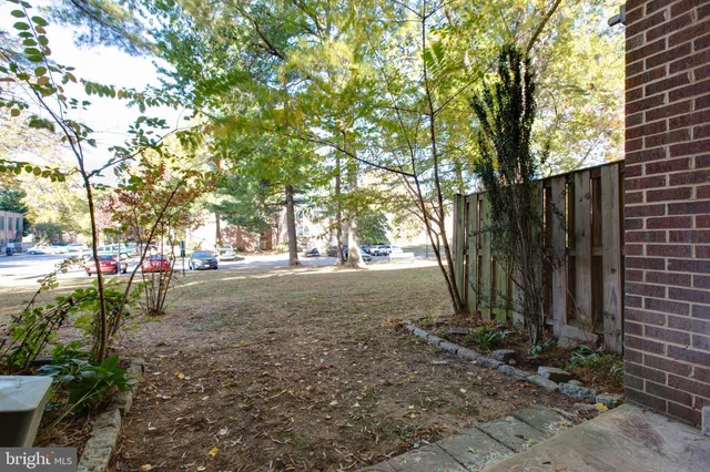 a view of backyard space and trees