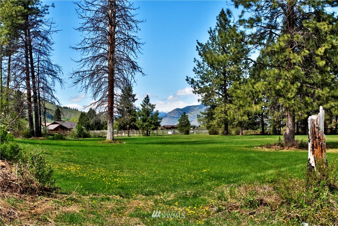 6 Pineview Road Winthrop, WA 98862 - Photo 25 of 40 Gallery Image 25