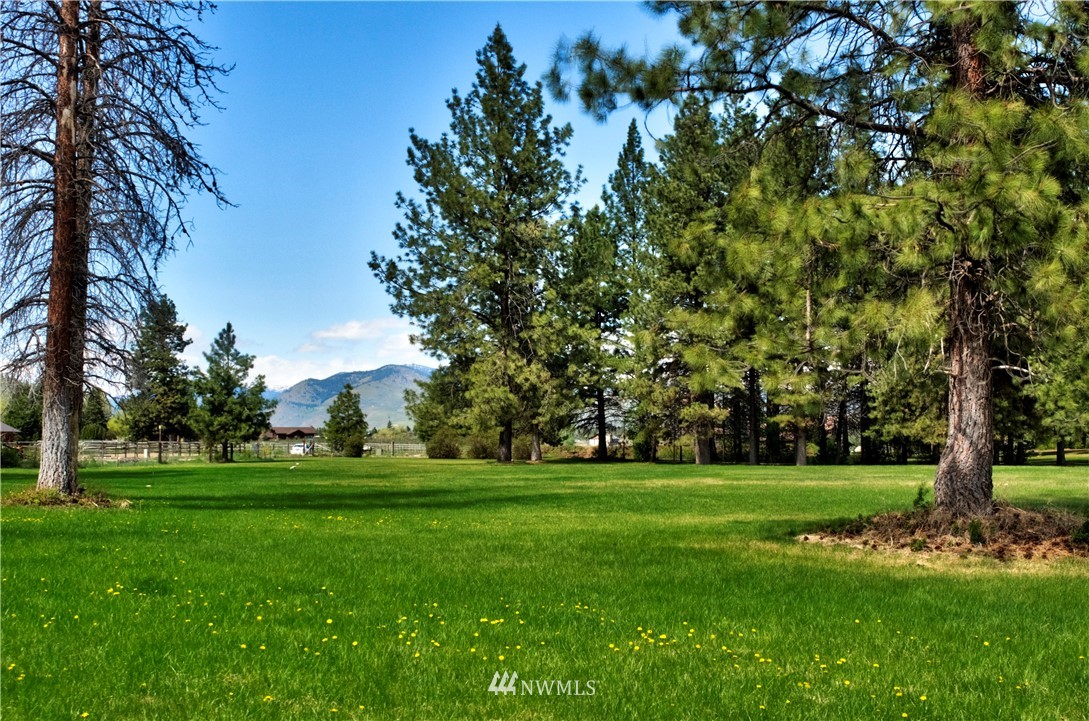 6 Pineview Road Winthrop, WA 98862 - Photo 27 of 40 Gallery Image 27