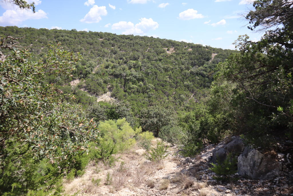 1085 White Bluff Road Medina, TX 78055 - Photo 20 of 20 Gallery Image 20