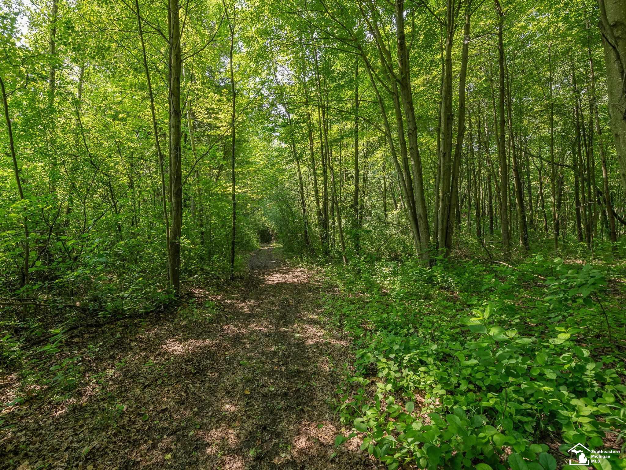 2225 Steiner Road Monroe, MI 48162 - Photo 40 of 46