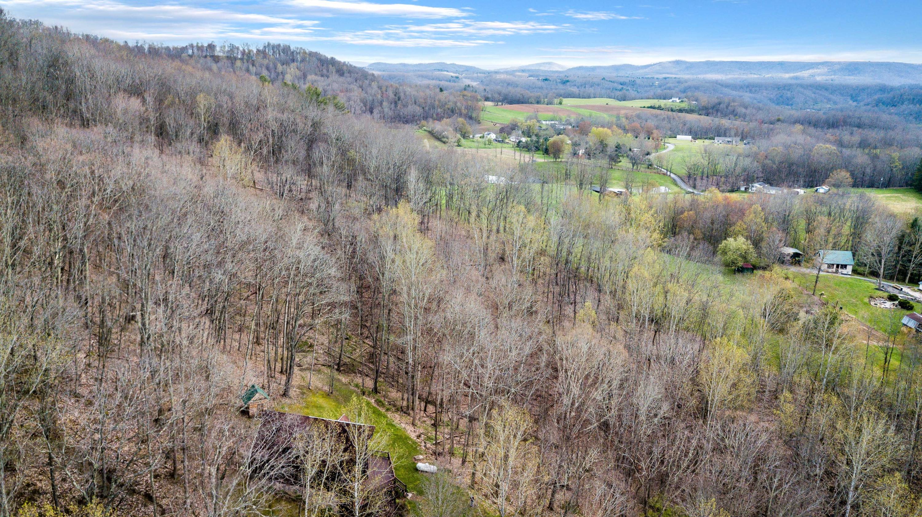 2452 Germany Road Renick, WV 24966 - Photo 42 of 51 Gallery Image 42