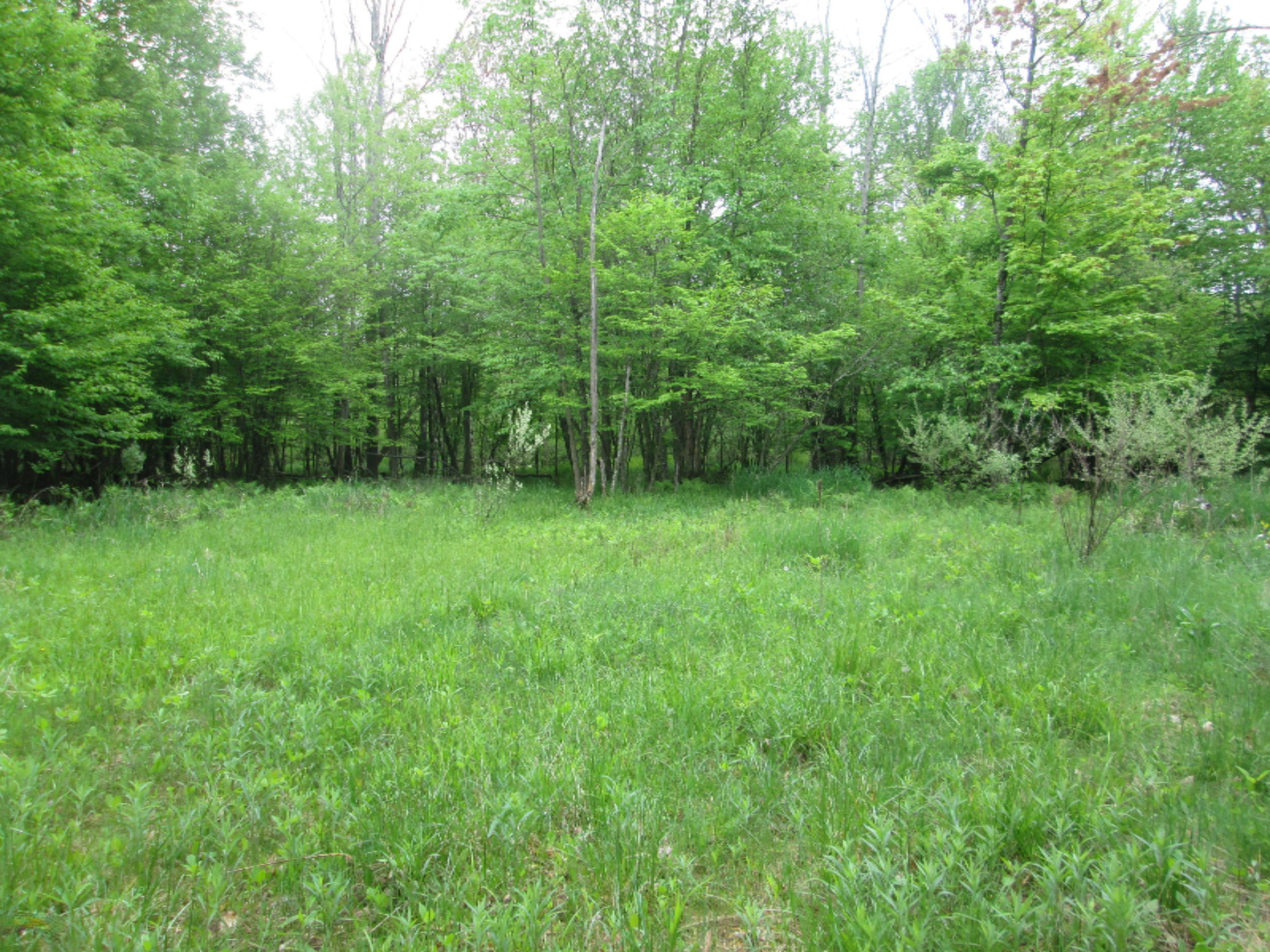 3313 West Klees Road Stanton, MI 48888 - Photo 25 of 29 3133 W Klees Rd 029