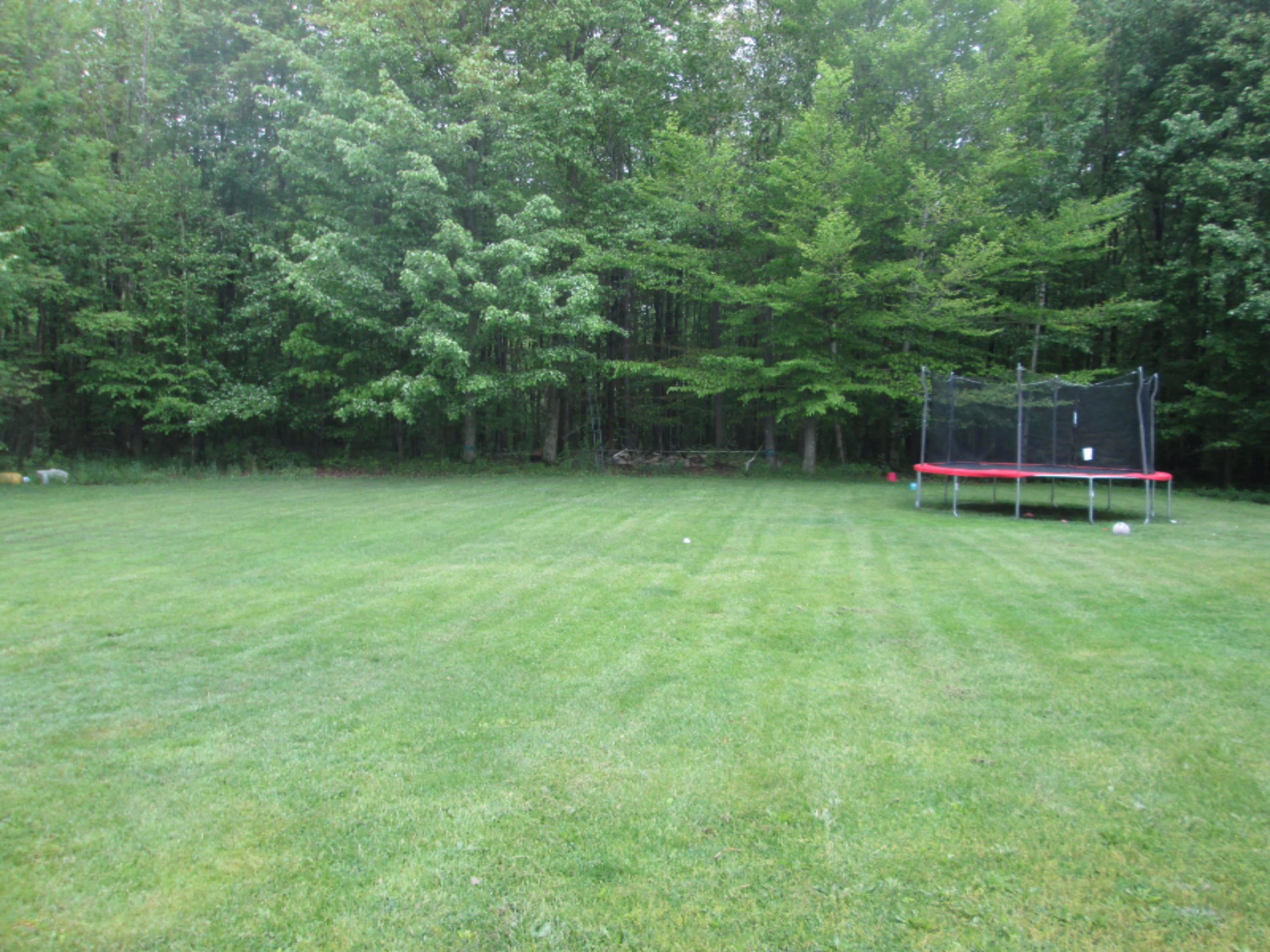 3313 West Klees Road Stanton, MI 48888 - Photo 5 of 29 3133 W Klees Rd 007