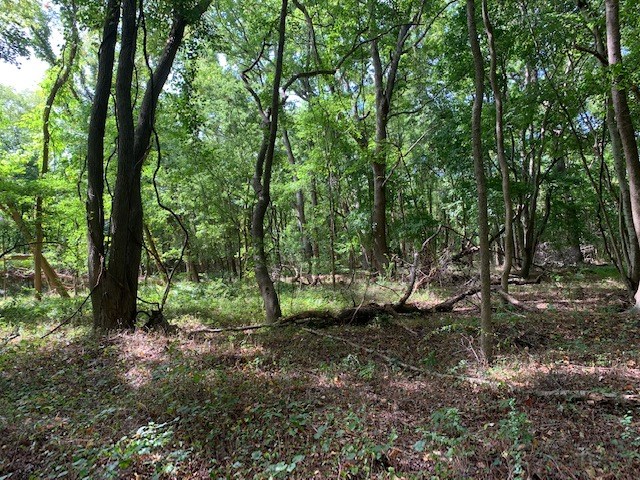 D Cheriton Cross Road, Unit D Cape Charles, VA 23310 - Photo 31 of 37